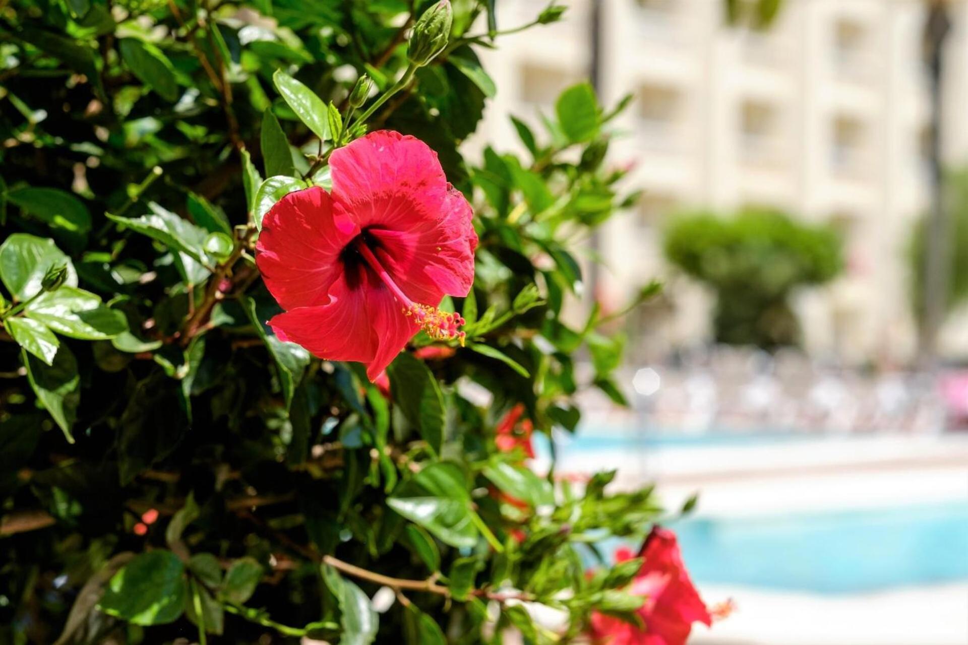 Hotel Portomagno 4*